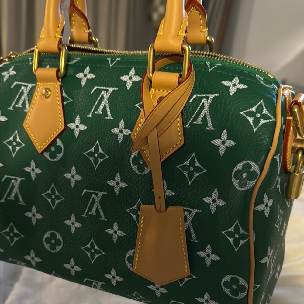 💚💚🍀Louis Vuitton P9 Speedy - Picture 3 of 12